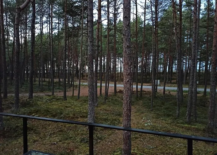 Relax Al Mare - For Extra Cost Sauna And Barrel Bath * Laulasmaa